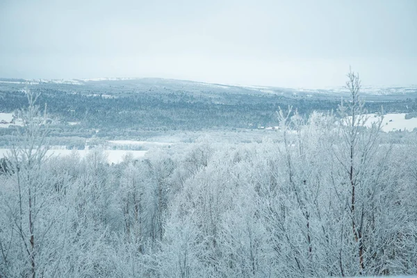 Piękny Zimowy Krajobraz Norwegii Śnieżna Sceneria Skandynawska Zima — Zdjęcie stockowe