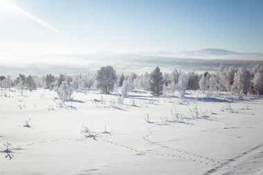 Norveç'te güzel bir kış manzarası. Karlı manzara. İskandinav kışı.