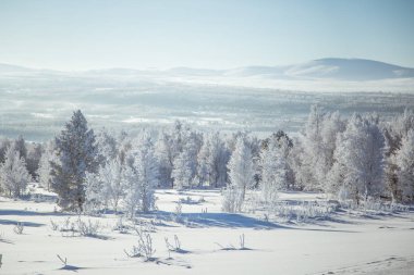 Norveç'te güzel bir kış manzarası. Karlı manzara. İskandinav kışı.