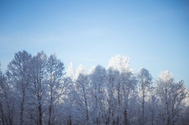 Norveç'te güzel bir kış manzarası. Karlı manzara. İskandinav kışı.