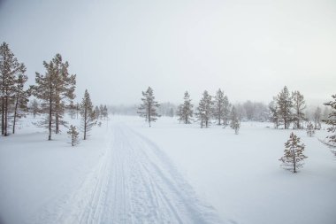 Norveç'te güzel bir kış manzarası. Karlı manzara. İskandinav kışı.