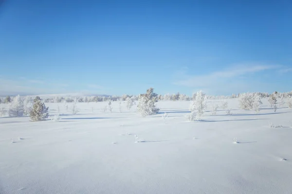 Een Prachtig Winter Landschap Noorwegen Besneeuwde Landschap Scandinavische Winter — Stockfoto