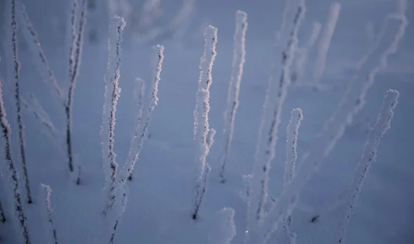 Beau Paysage Hivernal Norvège Paysage Enneigé Hiver Scandinave — Photo