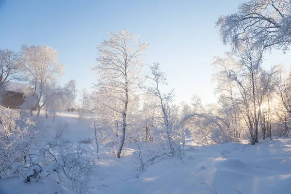 Hermoso Paisaje Invernal Noruega Paisajes Nevados Invierno Escandinavo — Foto de Stock