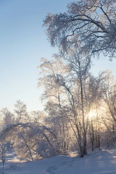 Een Prachtig Winter Landschap Noorwegen Besneeuwde Landschap Scandinavische Winter — Stockfoto