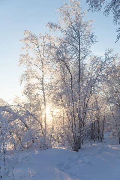 Hermoso Paisaje Invernal Noruega Paisajes Nevados Invierno Escandinavo —  Fotos de Stock