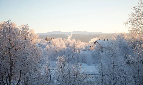 Een Prachtig Winter Landschap Noorwegen Besneeuwde Landschap Scandinavische Winter — Stockfoto
