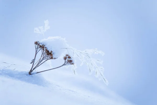 Bellissimo Paesaggio Invernale Norvegia Paesaggio Innevato Inverno Scandinavo — Foto Stock