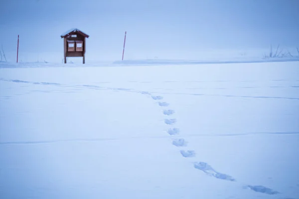 Uma Bela Paisagem Inverno Noruega Cenário Nevado Inverno Escandinavo — Fotografia de Stock