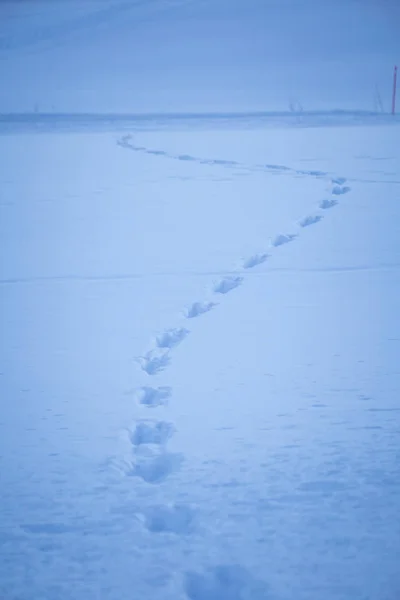 Bellissimo Paesaggio Invernale Norvegia Paesaggio Innevato Inverno Scandinavo — Foto Stock