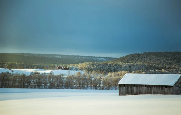 Piękny Zimowy Krajobraz Norwegii Śnieżna Sceneria Skandynawska Zima — Zdjęcie stockowe