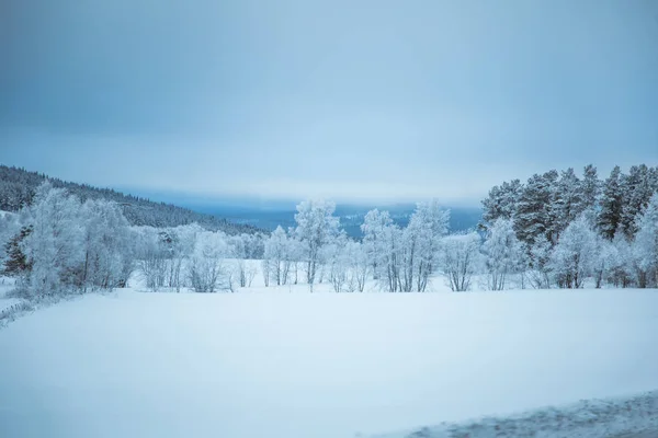 Прекрасный Зимний Пейзаж Норвегии Снежный Пейзаж Скандинавская Зима — стоковое фото