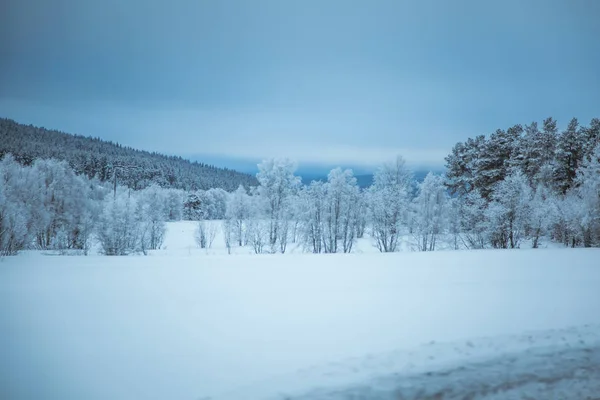 Piękny Zimowy Krajobraz Norwegii Śnieżna Sceneria Skandynawska Zima — Zdjęcie stockowe