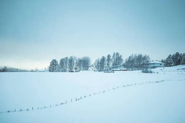 Piękny Zimowy Krajobraz Norwegii Śnieżna Sceneria Skandynawska Zima — Zdjęcie stockowe