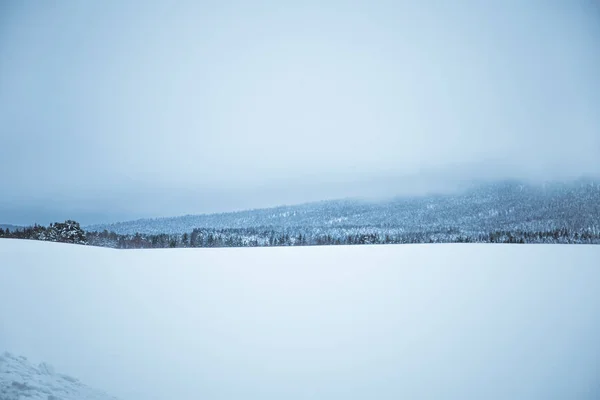 Uma Bela Paisagem Inverno Noruega Cenário Nevado Inverno Escandinavo — Fotografia de Stock