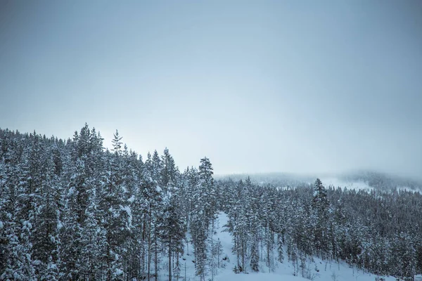 Een Prachtig Winter Landschap Noorwegen Besneeuwde Landschap Scandinavische Winter — Stockfoto