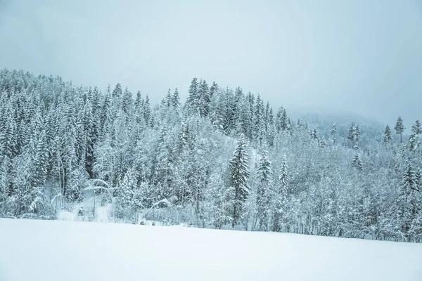 Een Prachtig Winter Landschap Noorwegen Besneeuwde Landschap Scandinavische Winter — Stockfoto