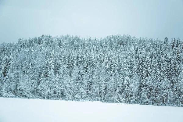 Een Prachtig Winter Landschap Noorwegen Besneeuwde Landschap Scandinavische Winter — Stockfoto