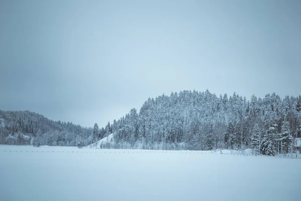 Piękny Zimowy Krajobraz Norwegii Śnieżna Sceneria Skandynawska Zima — Zdjęcie stockowe