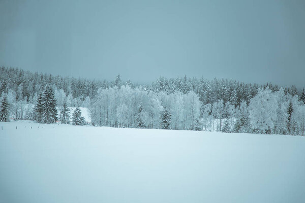 A beautiful winter landscape in Norway. Snowy scenery. Scandinavian winter.