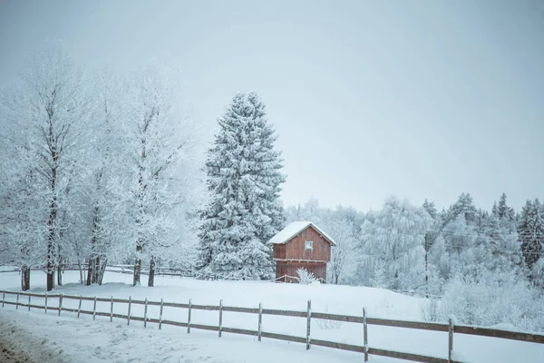 Nádherná Zimní Krajina Norsku Zasněžená Krajina Skandinávská Zima — Stock fotografie