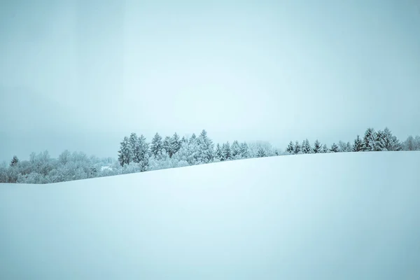 Красивий Зимовий Ландшафт Норвегії Сніжні Пейзажі Скандинавська Зима — стокове фото