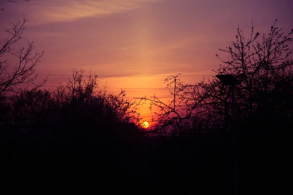 一个美丽的 炽热的日落穿过树枝 春天的日落 — 图库照片