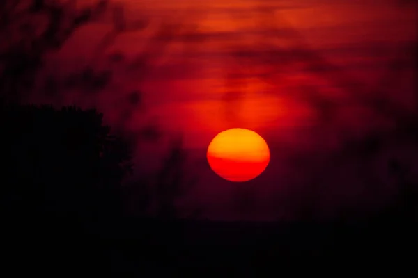 Een Prachtige Brandende Zonsondergang Door Boomtakken Lente Zonsondergang — Stockfoto