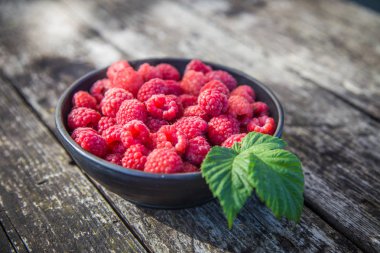 Güzel, taze seçilmiş bahçe ahududu yaz aylarında. Yaz meyveleri, doğal gıda, sağlıklı tatlı.