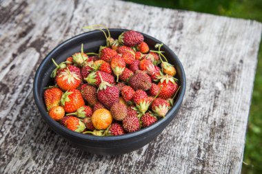 Güzel, taze seçilmiş bahçe çilekbir kase. Sağlıklı vegan, yaz aylarında ekolojik gıda.