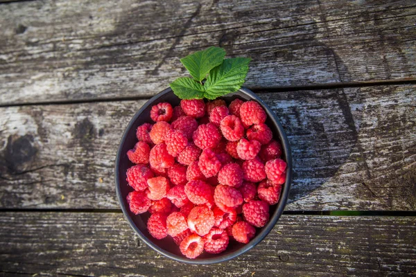 Beautiful Freshly Picked Garden Raspberries Summer Summer Berries Natural Food — Stock Photo, Image
