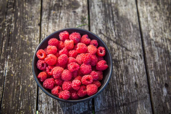 Mooie Vers Geplukt Tuin Frambozen Zomer Zomer Bessen Natuurlijke Voeding — Stockfoto