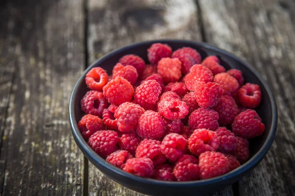 Hermoso Jardín Recién Recogido Frambuesas Verano Bayas Verano Comida Natural — Foto de Stock