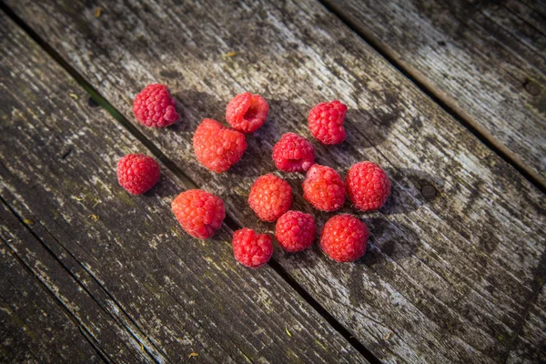 Framboesas Jardim Bonitas Recém Colhidas Verão Bagas Verão Comida Natural — Fotografia de Stock