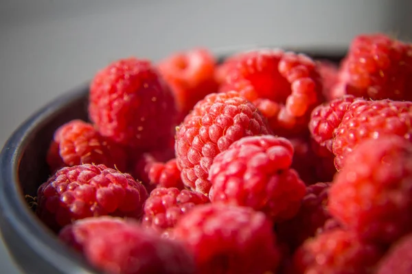 Hermoso Jardín Recién Recogido Frambuesas Verano Bayas Verano Comida Natural — Foto de Stock