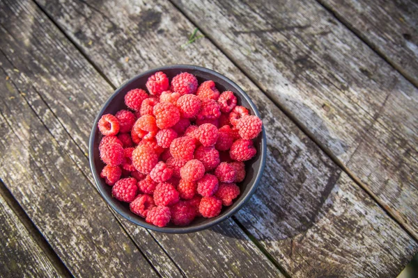 Mooie Vers Geplukt Tuin Frambozen Zomer Zomer Bessen Natuurlijke Voeding — Stockfoto