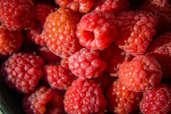 Beautiful Freshly Picked Garden Raspberries Summer Summer Berries Natural Food — Stock Photo, Image