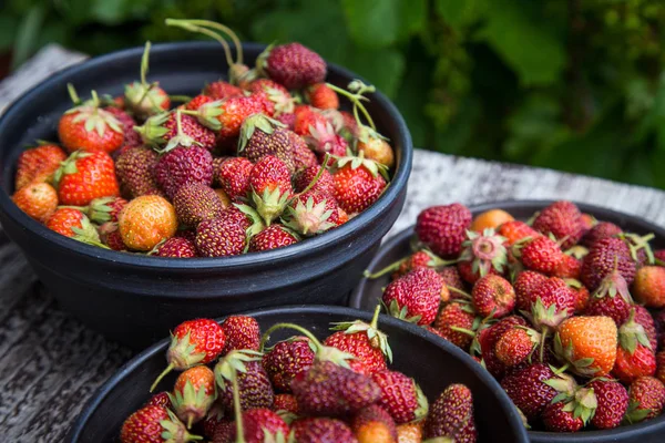 Mooie Vers Geplukt Tuin Aardbeien Een Kom Gezond Veganistisch Ecologisch — Stockfoto