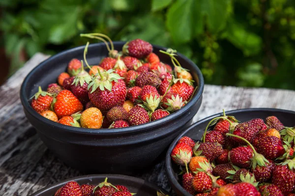 Mooie Vers Geplukt Tuin Aardbeien Een Kom Gezond Veganistisch Ecologisch — Stockfoto