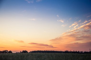 Letonya, Kuzey Avrupa'da kolza tarlasında güzel, altın bir gün batımı. Kırsal da akşam ışığı.