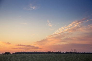 Letonya, Kuzey Avrupa'da kolza tarlasında güzel, altın bir gün batımı. Kırsal da akşam ışığı.