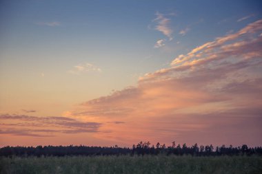 Letonya, Kuzey Avrupa'da kolza tarlasında güzel, altın bir gün batımı. Kırsal da akşam ışığı.