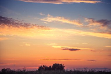 Letonya, Kuzey Avrupa'da kolza tarlasında güzel, altın bir gün batımı. Kırsal da akşam ışığı.