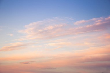 Letonya, Kuzey Avrupa'da kolza tarlasında güzel, altın bir gün batımı. Kırsal da akşam ışığı.