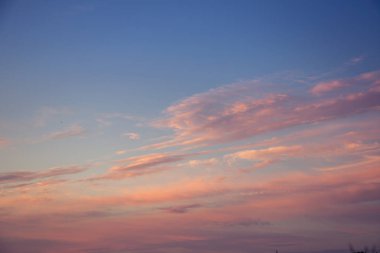 Letonya, Kuzey Avrupa'da kolza tarlasında güzel, altın bir gün batımı. Kırsal da akşam ışığı.