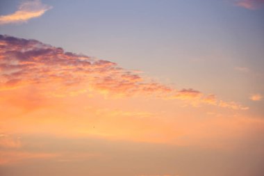 Letonya, Kuzey Avrupa'da kolza tarlasında güzel, altın bir gün batımı. Kırsal da akşam ışığı.