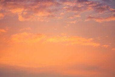 Letonya, Kuzey Avrupa'da kolza tarlasında güzel, altın bir gün batımı. Kırsal da akşam ışığı.