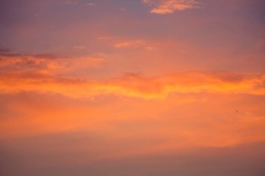 Letonya, Kuzey Avrupa'da kolza tarlasında güzel, altın bir gün batımı. Kırsal da akşam ışığı.