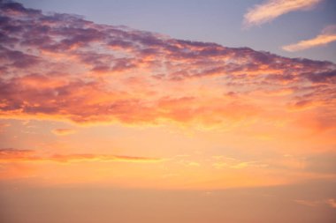 Letonya, Kuzey Avrupa'da kolza tarlasında güzel, altın bir gün batımı. Kırsal da akşam ışığı.