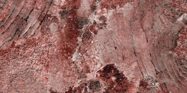 Altın mermer desen tasarımı. Kırmızı ve altın mermer desenli.